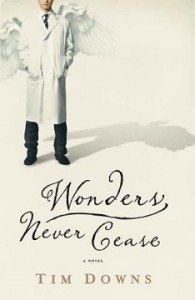 Wonders Never Cease by Tim Downs