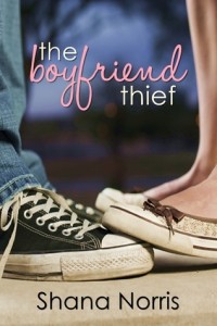 The Boyfriend Thief by Snana Norris